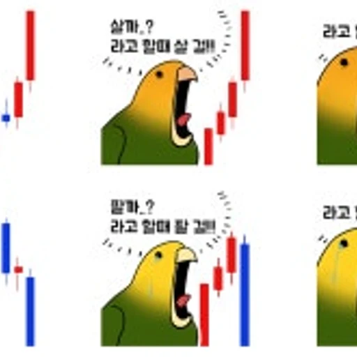 주식코코아 프로필